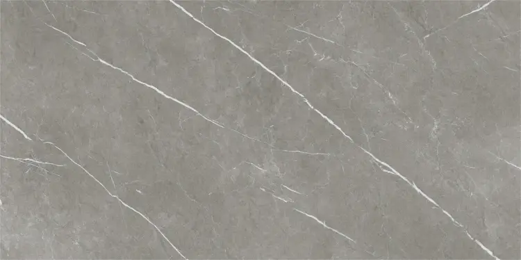 Baldocer Eternal Dark Natural 60x120 mat — płytka