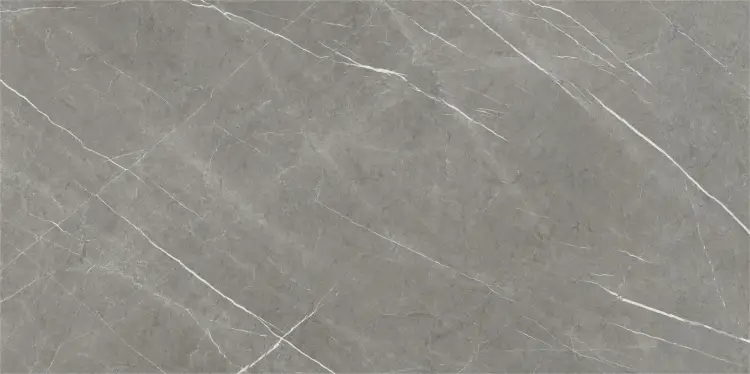 Baldocer Eternal Dark Natural 60x120 mat — płytka