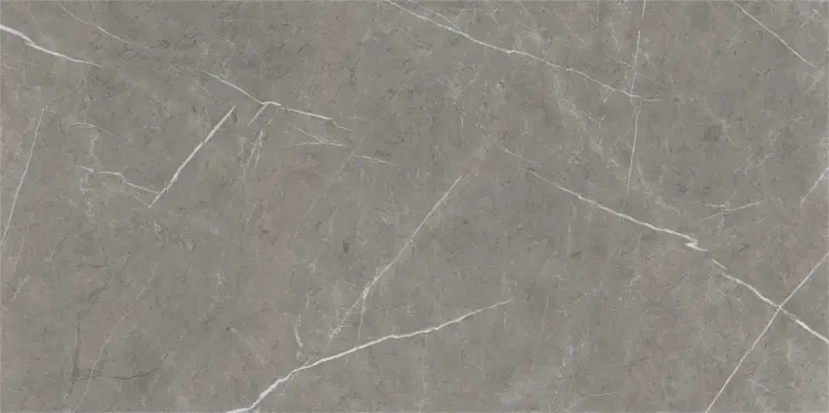 Baldocer Eternal Dark Natural 60x120 mat — płytka