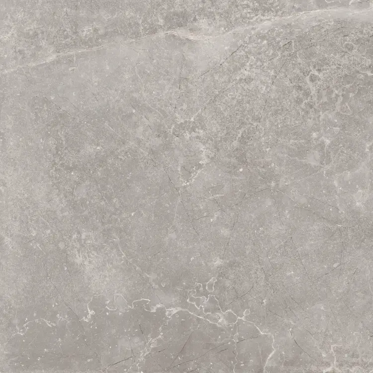 Baldocer Concept Grey 60x60 mat — płytka