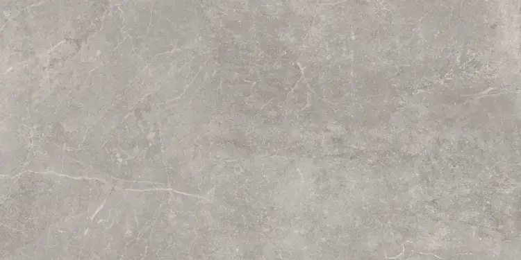 Baldocer Concept Grey 60x120 mat — płytka