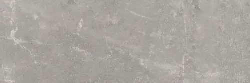 Baldocer Concept Grey 30x90 mat — płytka