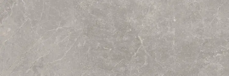 Baldocer Concept Grey 30x90 mat — płytka