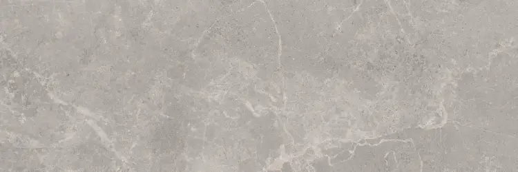 Baldocer Concept Grey 30x90 mat — płytka