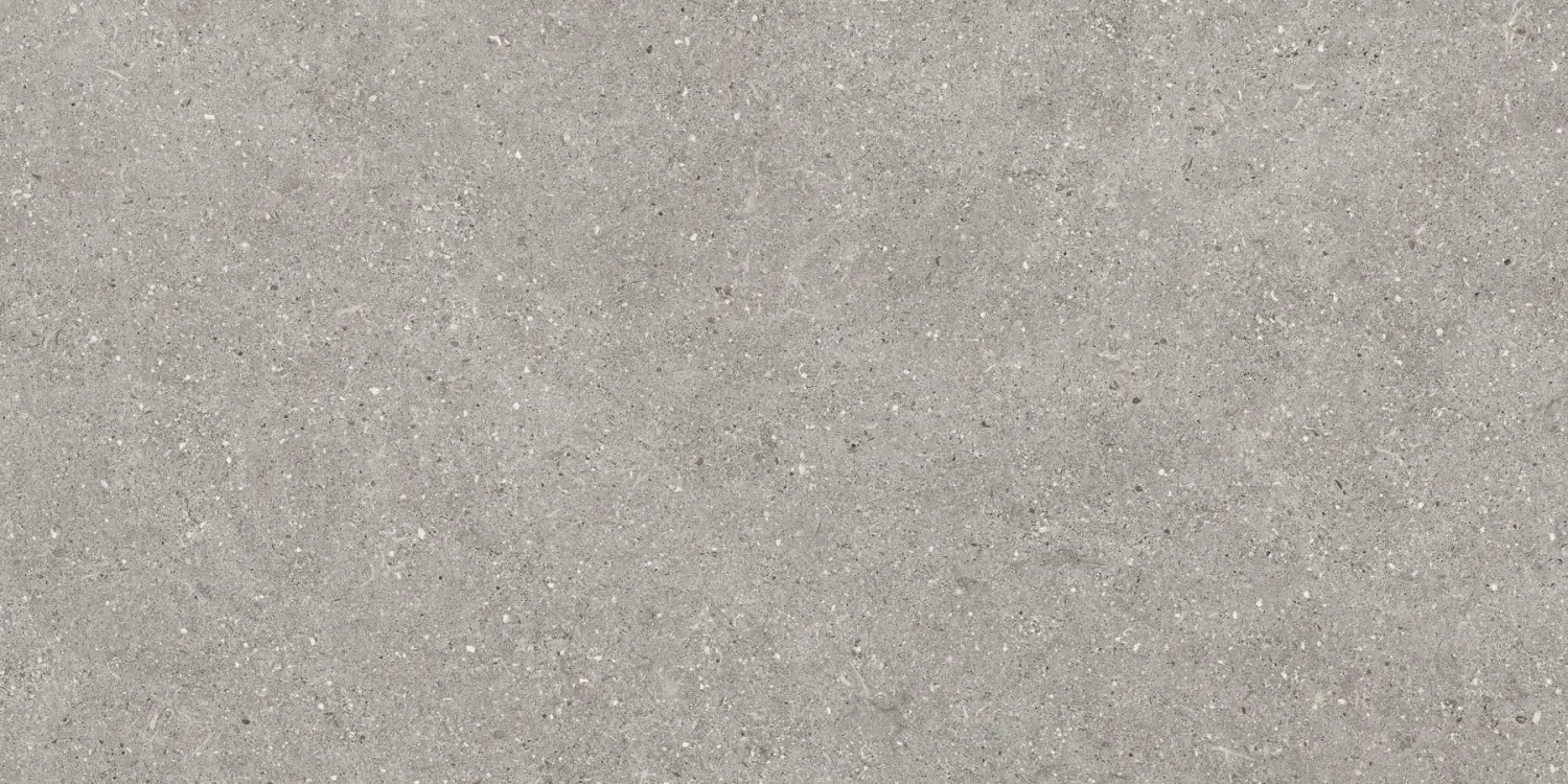 Baldocer Brunswich Acero 60x120 mat — płytka