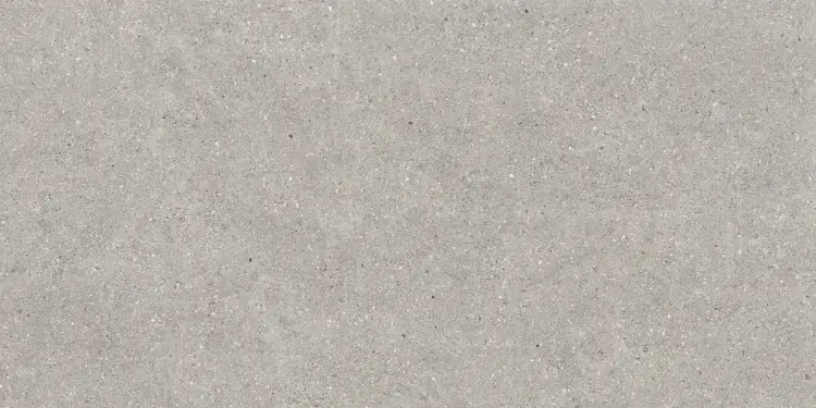 Baldocer Brunswich Acero 60x120 mat — płytka