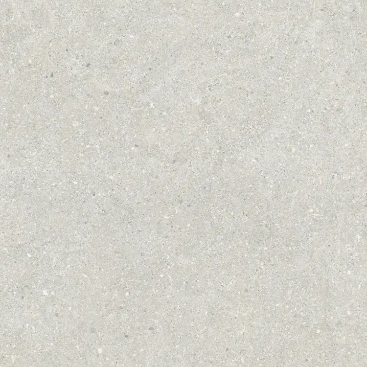Baldocer Brunswich Ceniza 60x60 mat — płytka