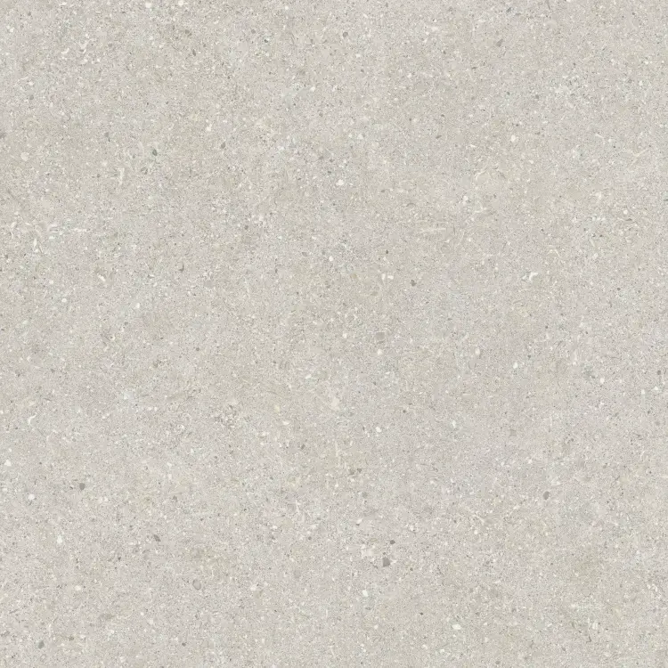 Baldocer Brunswich Ceniza 60x60 mat — płytka