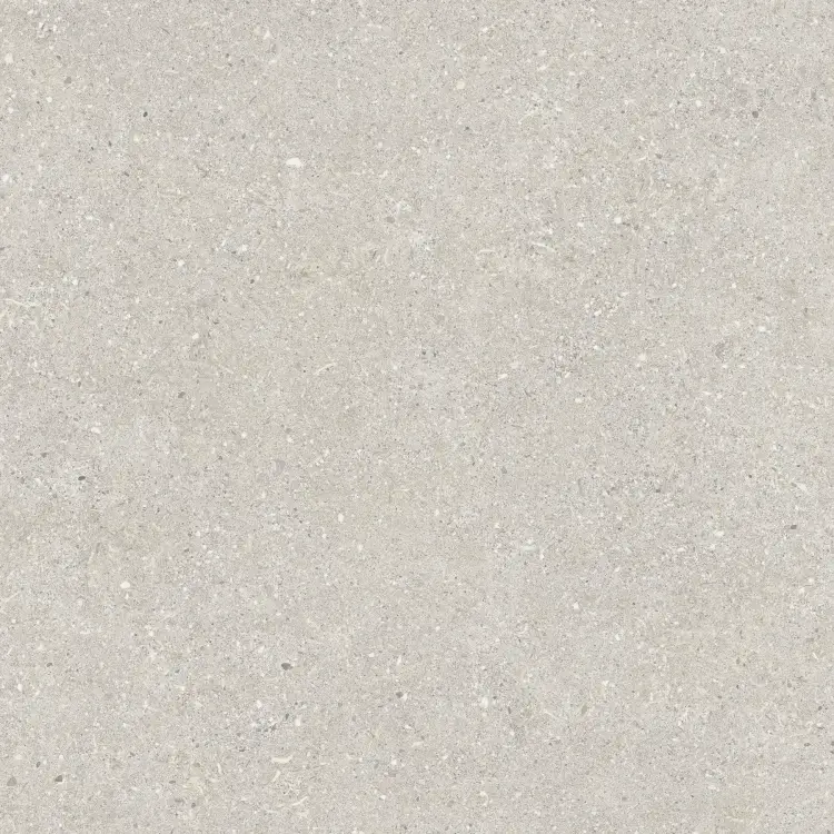 Baldocer Brunswich Ceniza 60x60 mat — płytka