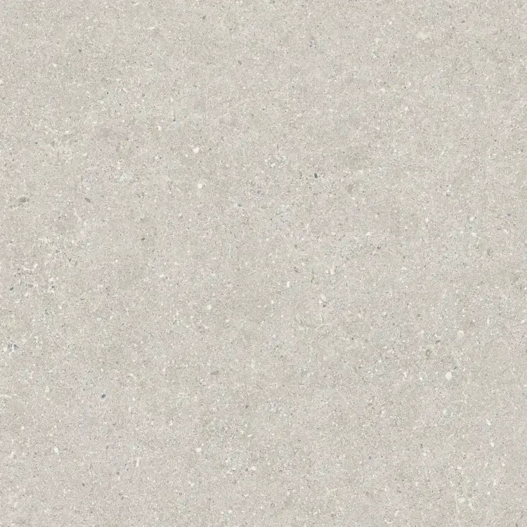 Baldocer Brunswich Ceniza 60x60 mat — płytka