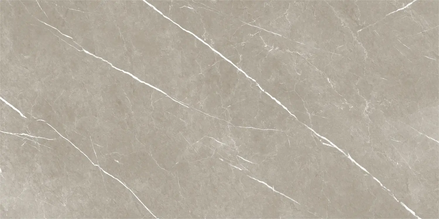 Baldocer Eternal Taupe Natural 60x120 mat — płytka
