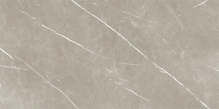 Baldocer Eternal Taupe Natural 60x120 mat — płytka