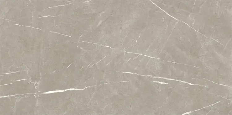 Baldocer Eternal Taupe Natural 60x120 mat — płytka