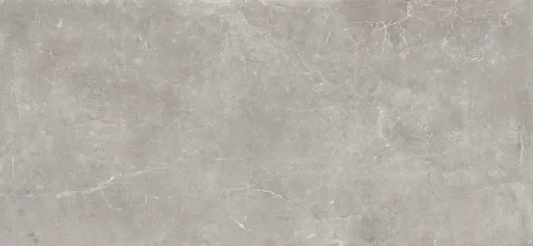 Baldocer Concept Grey 120x260 mat — płytka
