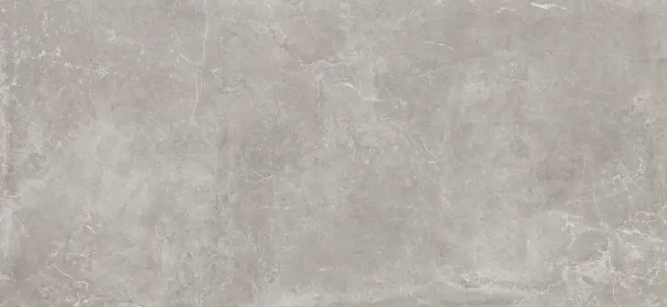 Baldocer Concept Grey 120x260 mat — płytka