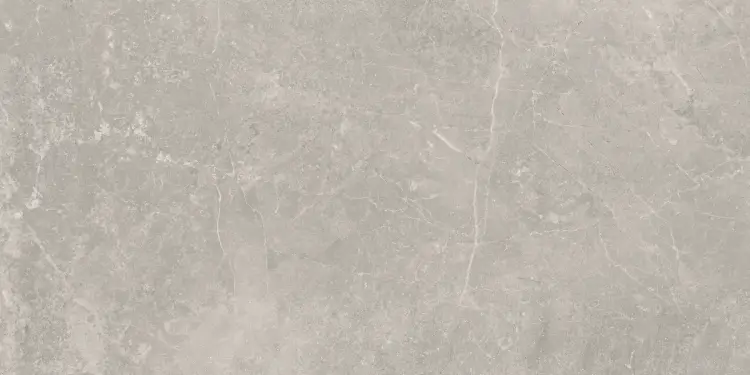 Baldocer Concept Grey Pulido 60x120 połysk — płytka