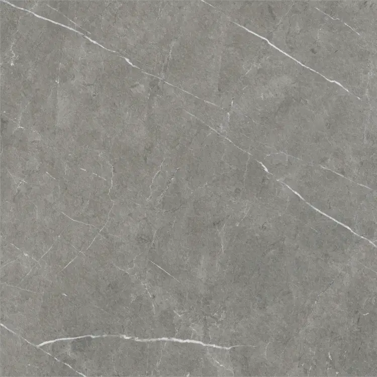 Baldocer Eternal Dark Natural 60x60 mat — płytka