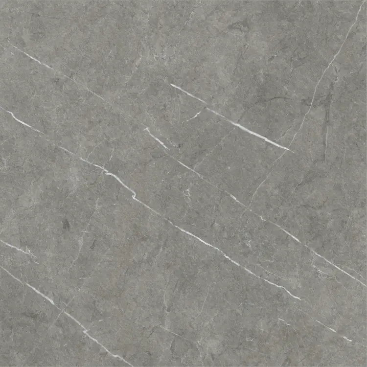 Baldocer Eternal Dark Natural 60x60 mat — płytka