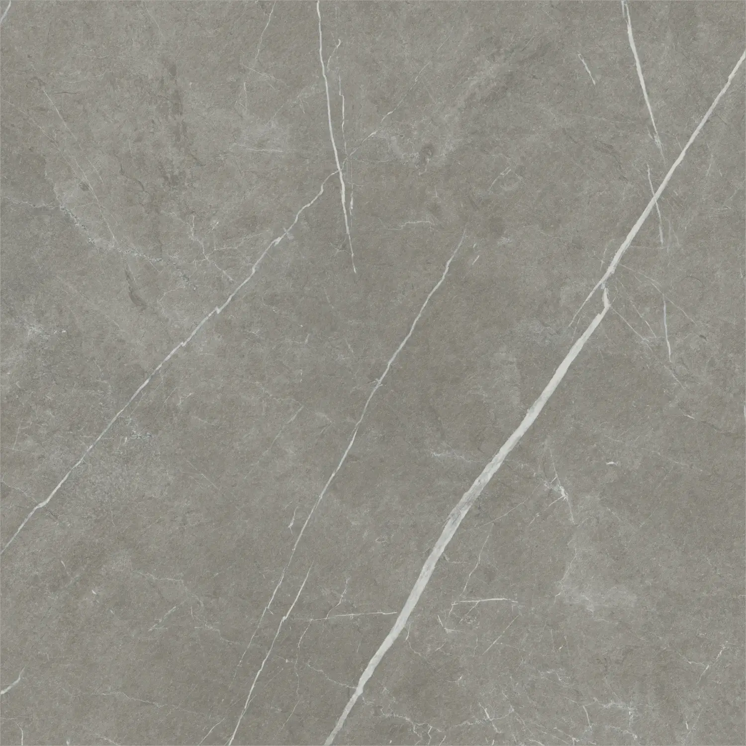 Baldocer Eternal Dark Natural 80x80 mat — płytka