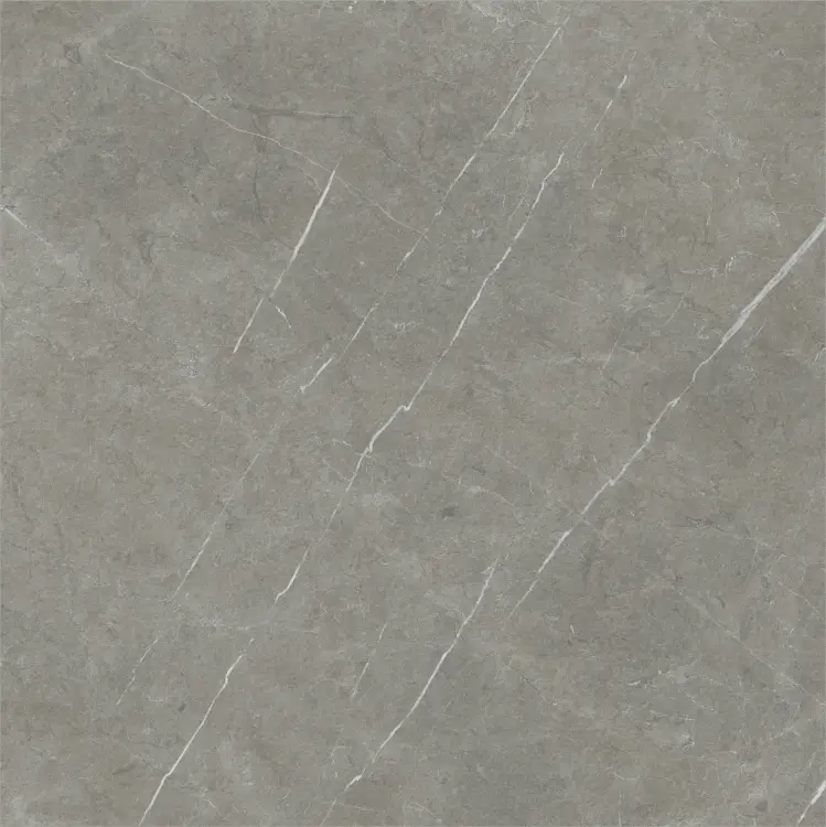 Baldocer Eternal Dark Natural 80x80 mat — płytka