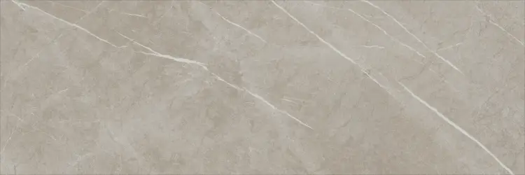 Baldocer Eternal Taupe Natural 30x90 mat — płytka
