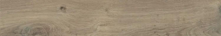 Baldocer Northwood Elm 20x120 mat — płytka