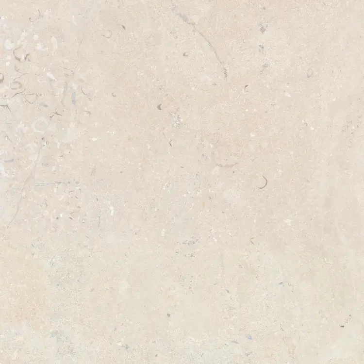 Baldocer Salerno Avorio 60x60 mat — płytka