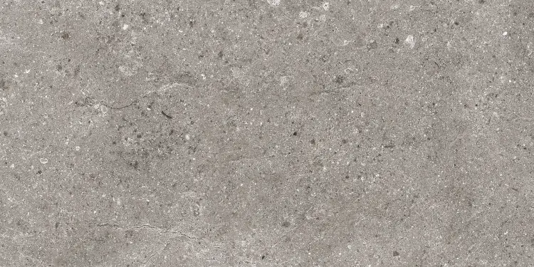 Baldocer Stoneland Grey 30x60 mat — płytka
