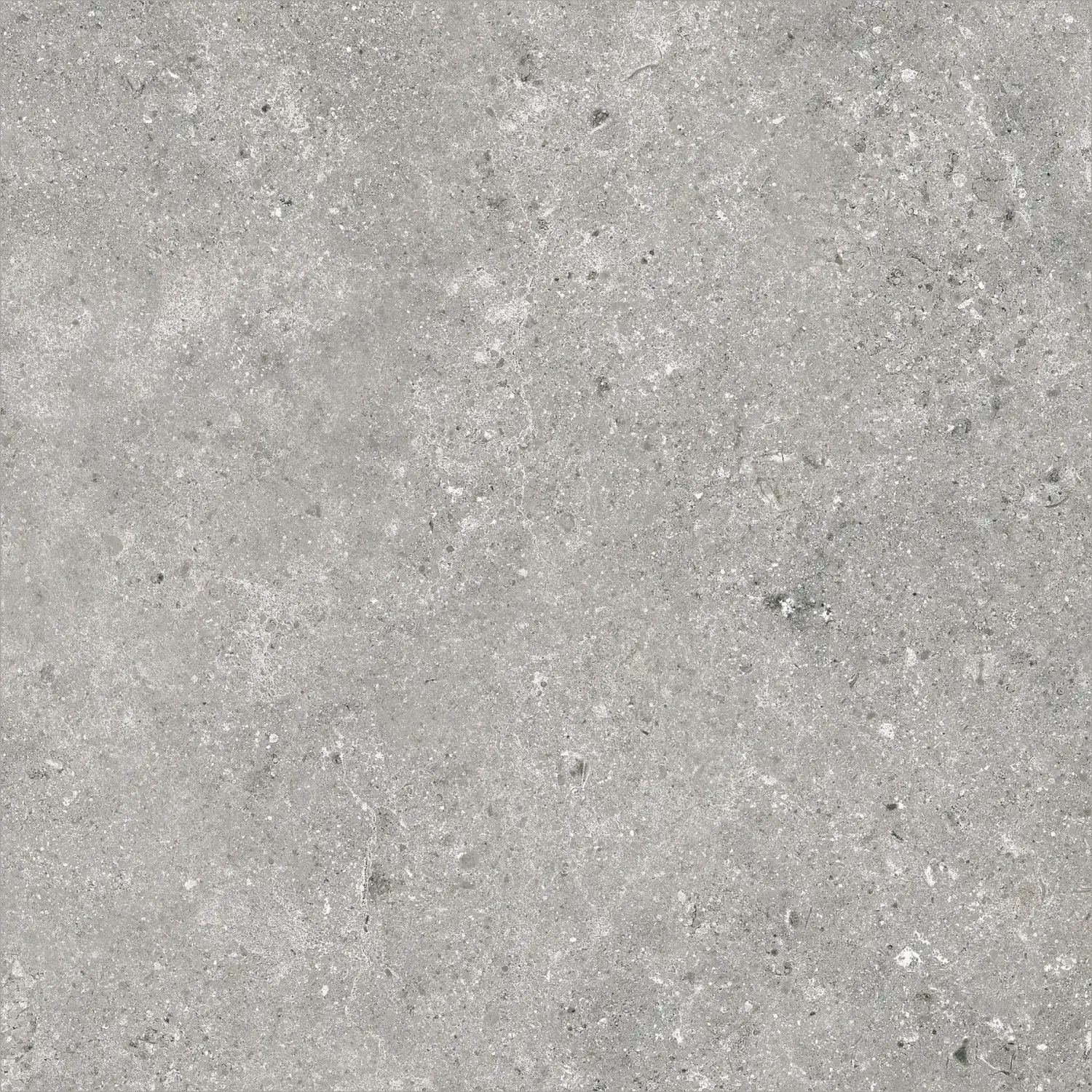 Baldocer Stoneland Grey 60x60 mat — płytka