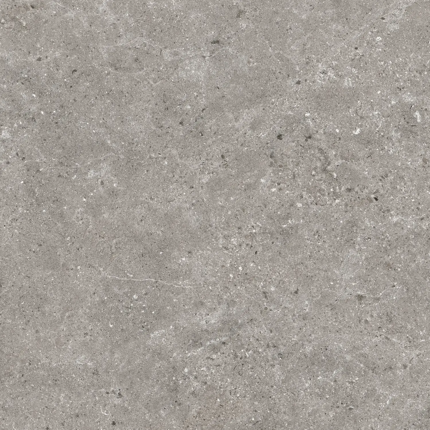 Baldocer Stoneland Grey 80x80 mat antypoślizgowa — płytka