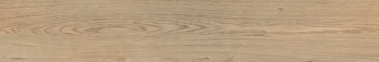 Baldocer Wooden Oak 20x120 mat — płytka
