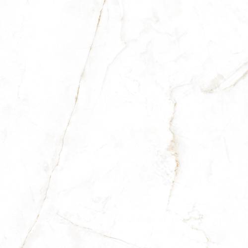 Museum Dual White 120x120 mat rektyfikowana — płytka