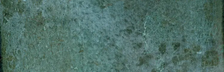 Harmony Dyroy Green 6,5x20 mat — płytka
