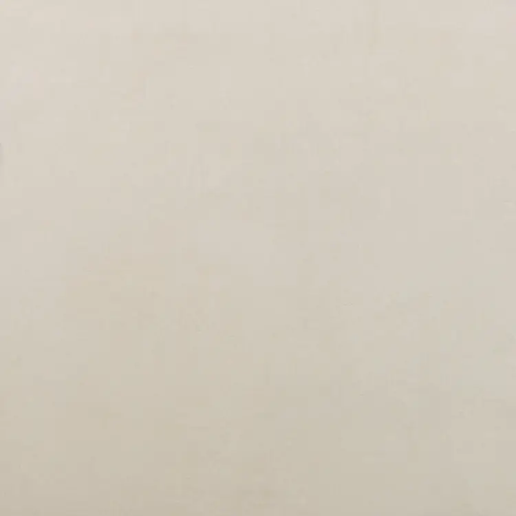 Pamesa BASIC IVORY 60x60 mat — plytka
