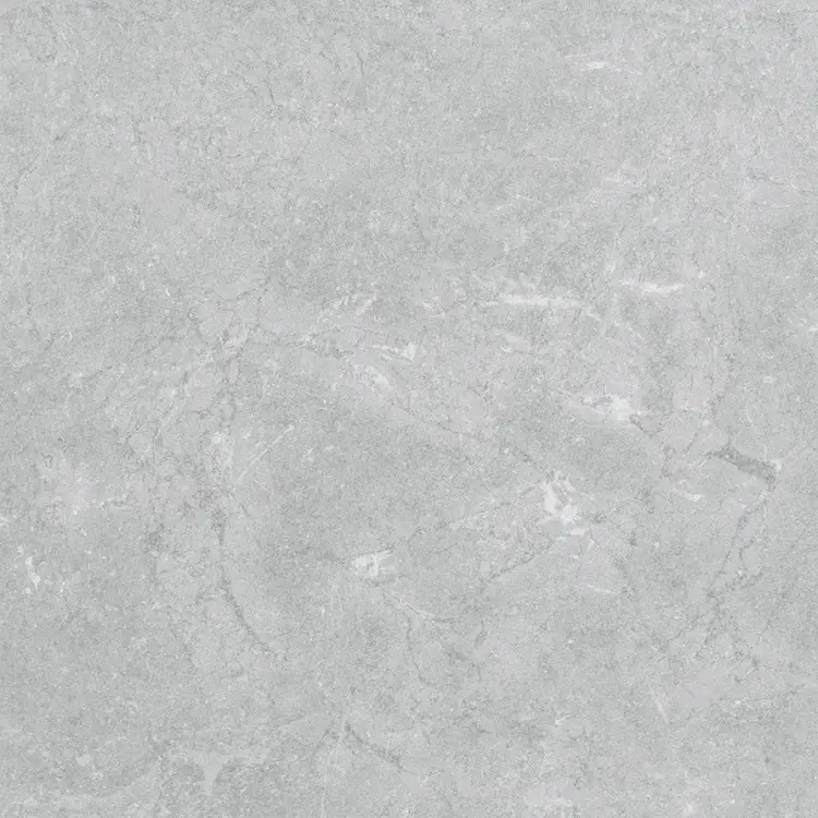 Pamesa CONSTANZA GRAY 60x60 mat — plytka