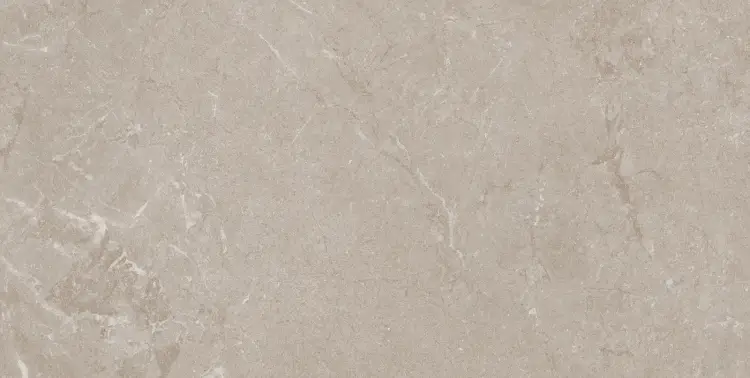 Pamesa CONSTANZA MOCHA 60x120 mat — plytka