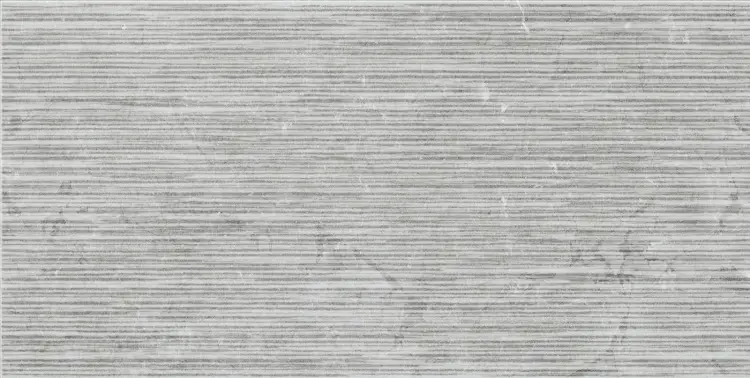 Pamesa RLV.CONSTANZA GRAY 60x120 mat — plytka