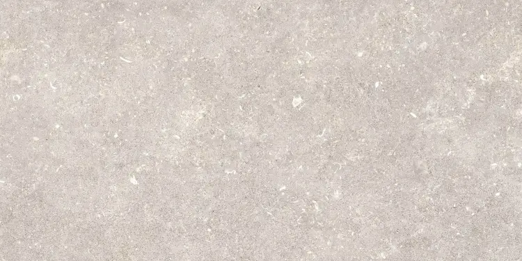 Pamesa DOVER GREIGE 30x60 mat — plytka