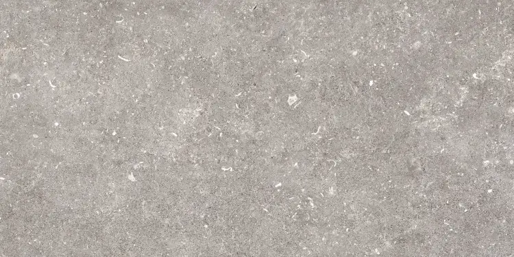 Pamesa DOVER GRIS 60x120 mat — plytka