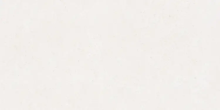 Pamesa DUNE WHITE 60x120 mat — plytka