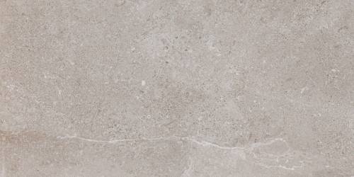 Pamesa ES.ERDING ASH 45x90 mat — plytka
