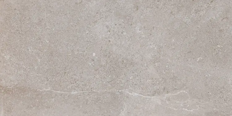 Pamesa ES.ERDING ASH 45x90 mat — plytka