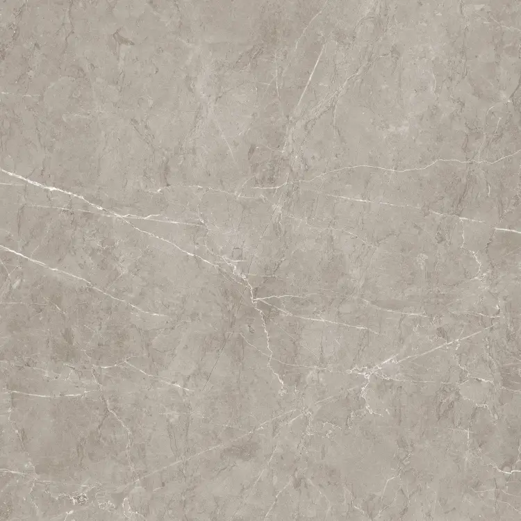 Pamesa NATURAL SENSE GRIS 60x60 mat — plytka