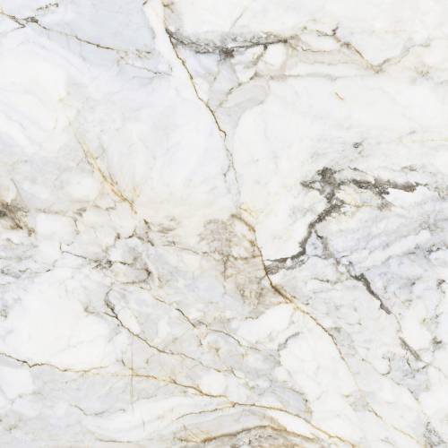 Pamesa CR.PISA GOLD 90x90 połysk — plytka