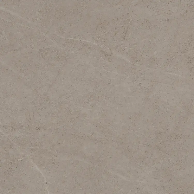 Pamesa VICTORIA GREIGE 100x100 mat — plytka