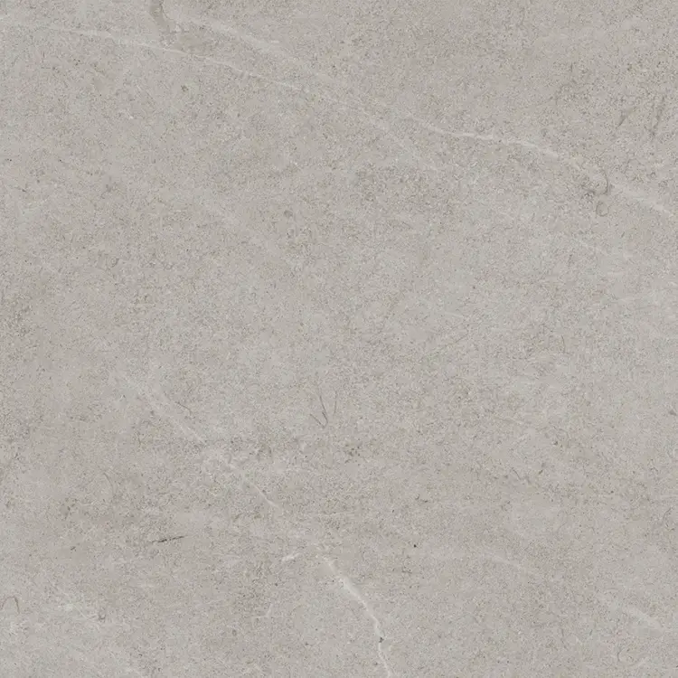 Pamesa VICTORIA SILVER 60x60 mat — plytka