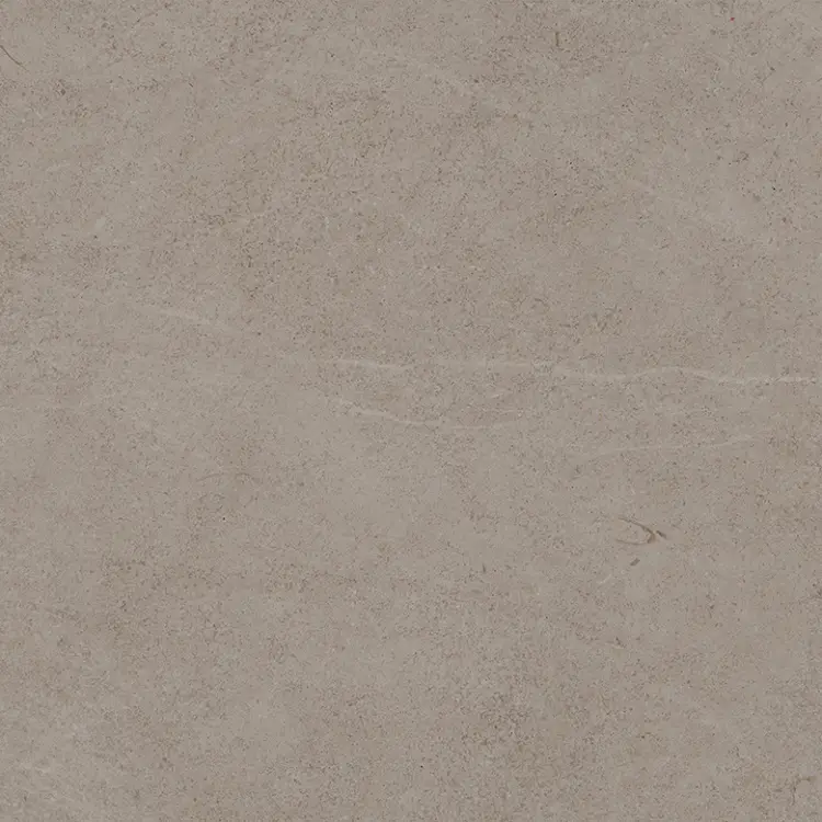 Pamesa VICTORIA GREIGE 60x60 mat — plytka