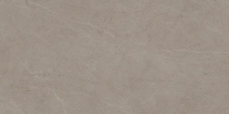 Pamesa VICTORIA GREIGE 60x120 mat — plytka