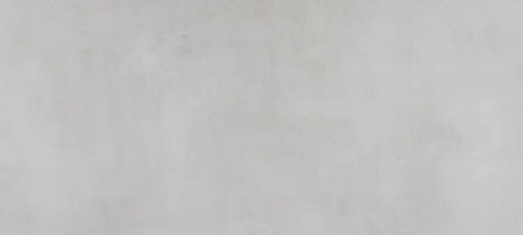 Pamesa ELEGANZA PERLA 36x80 mat — plytka