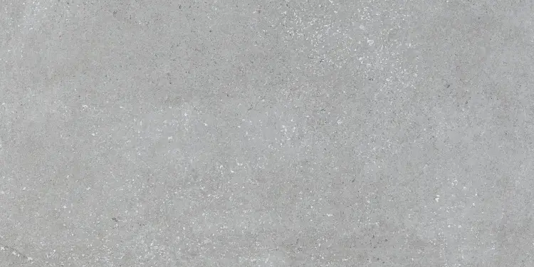 Pamesa VITA GRIS 60x120 mat — plytka